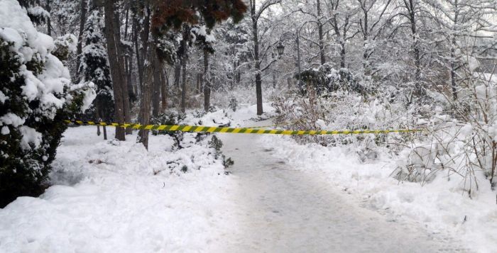 ​Боевую гранату нашли в Сургуте возле парка
