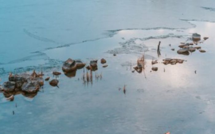 Бастрыкин заинтересовался загрязнением реки в Нефтеюганске