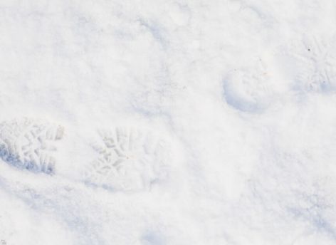 ​Ушел из поселка и пропал. В ХМАО с прошлого года ищут вахтовика