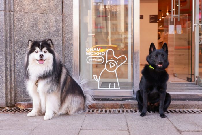 ​В Югре появились pet-friendly магазины