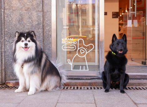 В Югре появились pet-friendly магазины