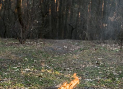 ​Шашлыки по-прежнему вне закона? В Сургуте — противопожарный режим