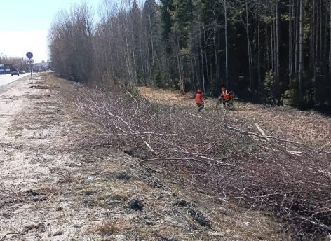 Власти ХМАО объяснили вырубку деревьев и кустарников рядом с реконструируемой трассой
