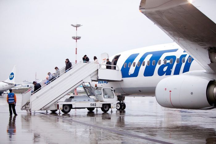 ​Прокуратура начала проверку из-за гибели кошки в самолете Utair