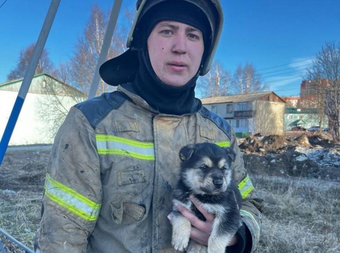 ​Пожарный из ХМАО спас щенка из горящего дома
