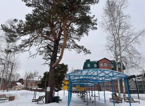 ​Парк на месте тубдиспансера в Сургуте проверили на безопасность