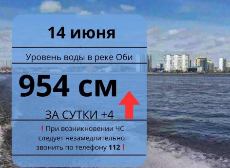 Уровень воды в реке Обь поднялся еще на четыре сантиметра