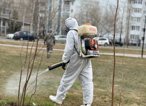 ​За лето в Сургуте проведут три противоклещевые обработки