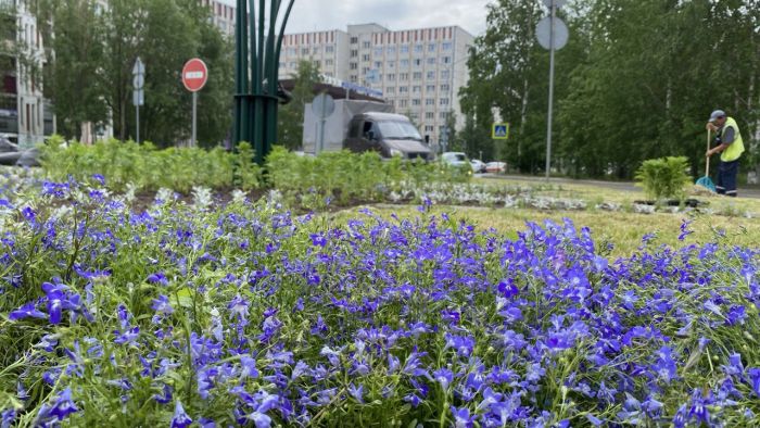 В Сургуте завершается цветочное оформление улиц и общественных пространств
