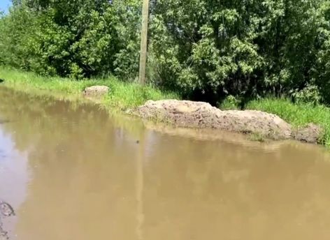 Уровень воды в Оби застыл на опасной отметке
