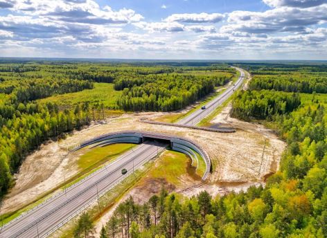 ​Трассу М-12 продлят от Екатеринбурга в этом году, а до Тюмени в 2025 году