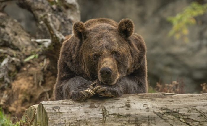Санврачи ХМАО предупредили об опасном заболевании