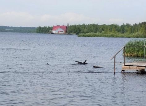 В Сургутской травмбольнице спасли пожилого мужчину, на которого наехала моторная лодка