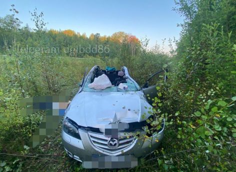 На трассе ХМАО в ДТП погибли водитель и шестилетняя девочка