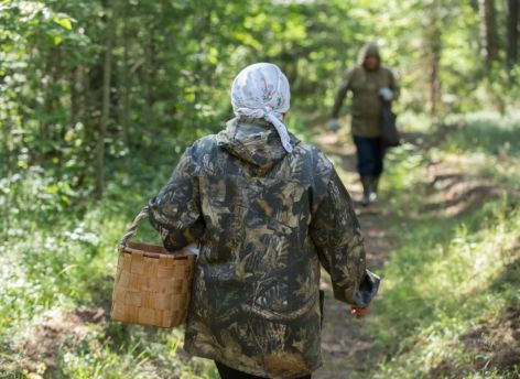 Спасатели нашли в лесу пропавших югорчанок