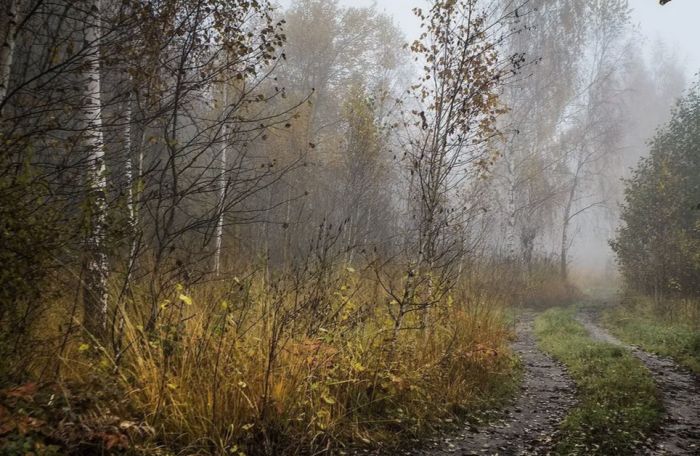 ​В Нижневартовском районе нашли югорчанку, которая заблудилась в лесу