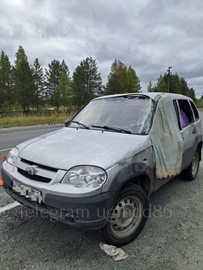 ​Автоледи из ЯНАО занесло на трассе в Сургутском районе
