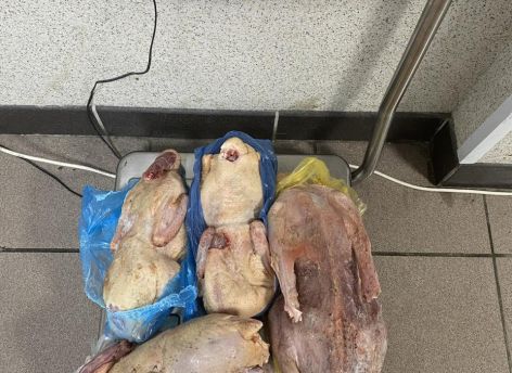 В аэропорту Сургута у мигрантов изъяли нелегальные продукты