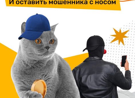 Как защитить свои деньги от мошенников? // КАРТОЧКИ