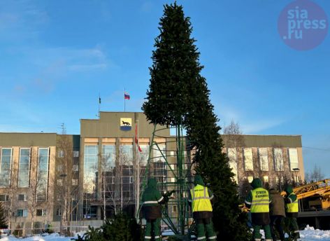 Праздник к нам приходит: в Сургуте устанавливают городскую елку