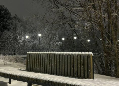 Климатический рекорд: ноябрь в Югре стал самым теплым за последние годы