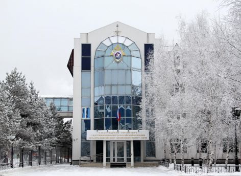 СК РФ займется делом о расправе над собакой в Сургуте