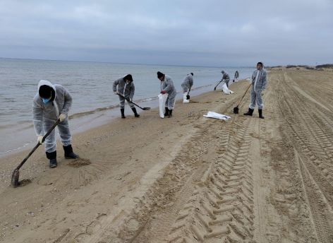 Госдума: мазутное пятно идет в сторону от Адлера и Сочи