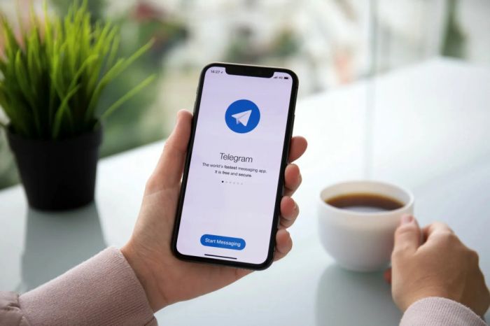 Новая схема: мошенники придумали еще один способ обманывать россиян в Telegram