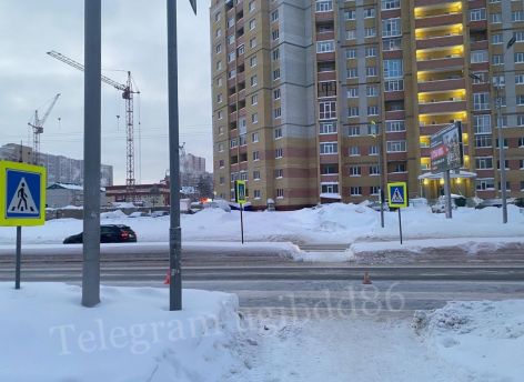 В Сургуте водитель Haval сбил 19-летнюю девушку