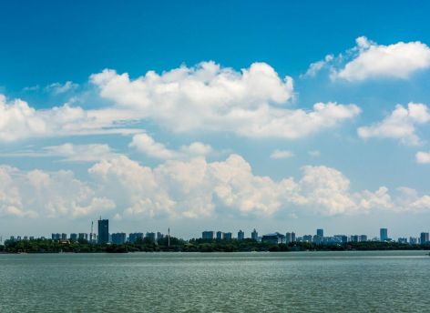 В Ленинградской области предотвратили атаку беспилотника