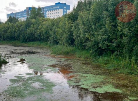 Остался последний день: более 43 тысяч жителей Сургута проголосовали за объекты благоустройства