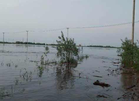 ​В Ханты-Мансийске 11-летнюю девочку унесло течением