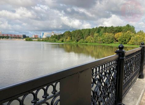 В Сургуте потратят более двух миллионов на борьбу с комарами