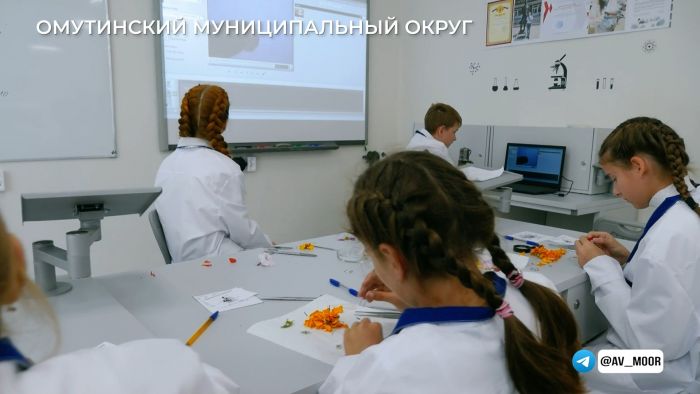 ​Дополнительное образование в Тюменской области: возможности растут