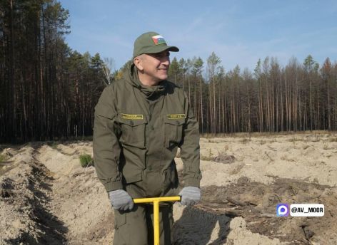 Тюменцы высадили 50 тысяч деревьев в рамках акции «Сохраним лес»