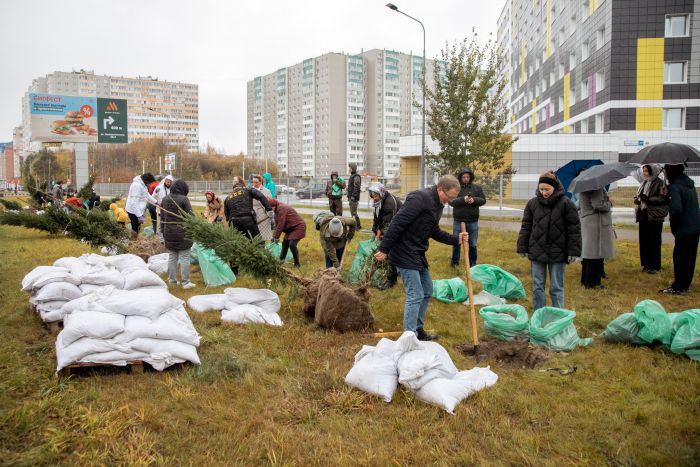 ​В Сургуте появилась еще одна «Аллея предпринимателей»