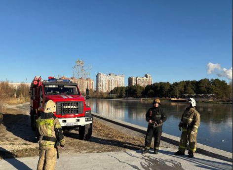 Трогательное спасение: в Сургуте пожарные спасли утку, вмерзшую в лед