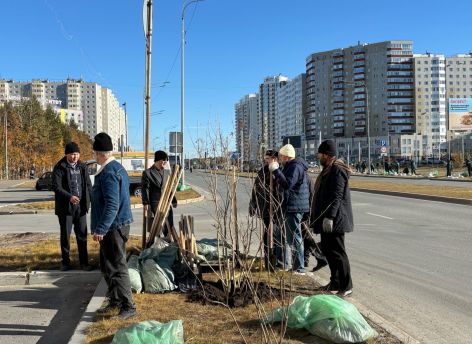 ​В Сургуте высадили более 70 кустов сирени на улице Университетской
