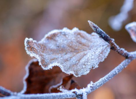 Морозы до -24° и снег: какая погода ждет Югру в начале недели