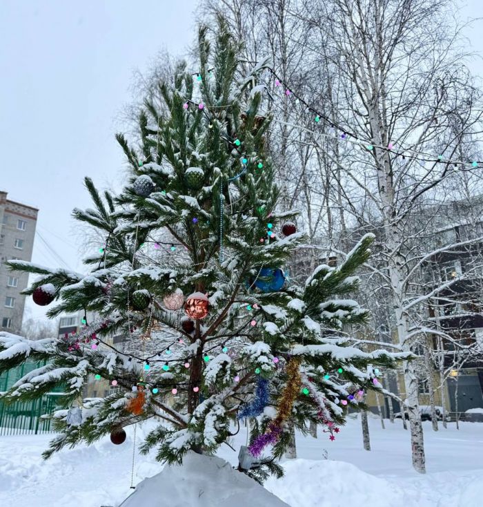 ​В Сургуте по-новогоднему украсили дворы в 11 микрорайонах