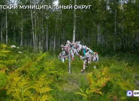 В Тюменской области развивают экологический туризм