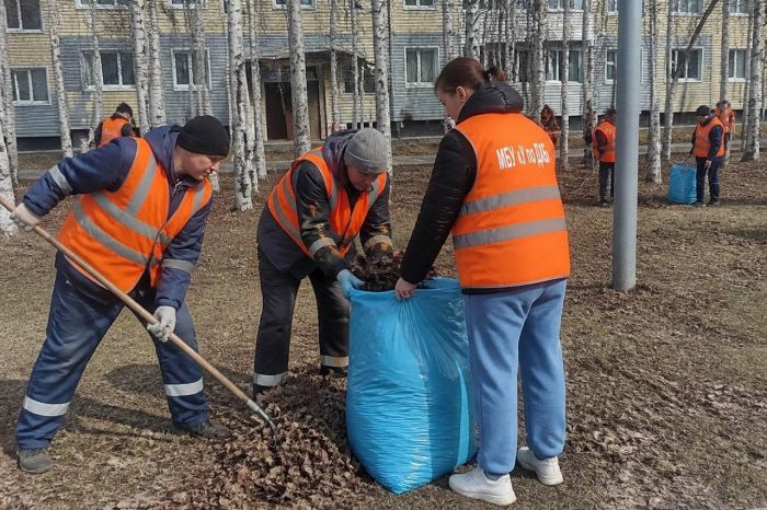 Коммунальщики Югры объяснили, почему обязательно нужно убирать прошлогоднюю листву