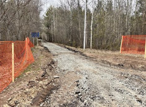 Депутат Думы Сургута оценил старт работ в парке «За Саймой»