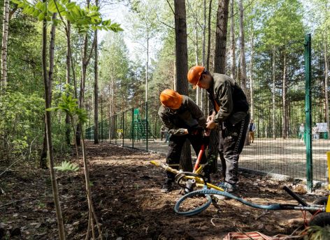 Власти Сургута начали благоустройство дорожек в парке «За Саймой»