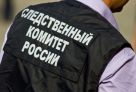 ​Следователи проверяют обстоятельства смерти трехлетнего ребенка в Ханты‑Мансийске