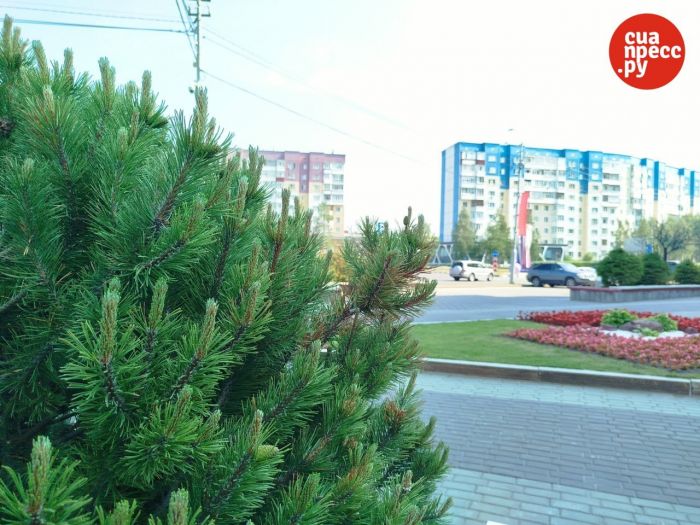 ​Семейную ипотеку хотят сделать более адресной уже с 1 июля