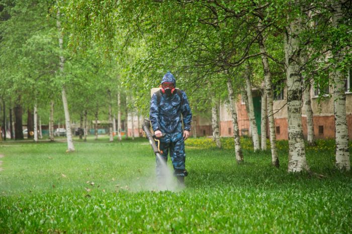 ​Жители Сургута жалуются на мошку в городе