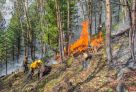 В Югре за четыре дня потушили 40 лесных пожаров
