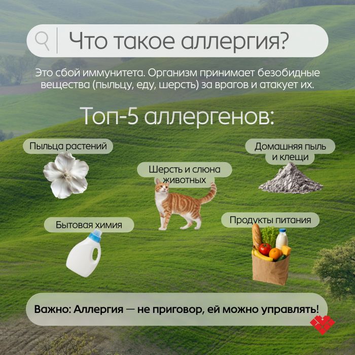 ​Как распознать сезонную аллергию? // КАРТОЧКИ