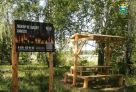 ​В Тюменской области проводят противопожарные работы в лесах